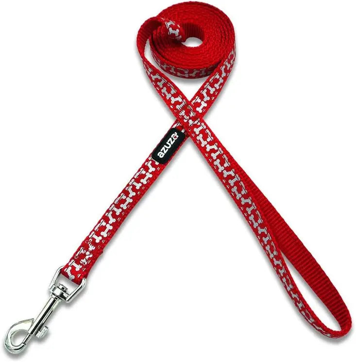 Red Dog Collar & Leash Set
