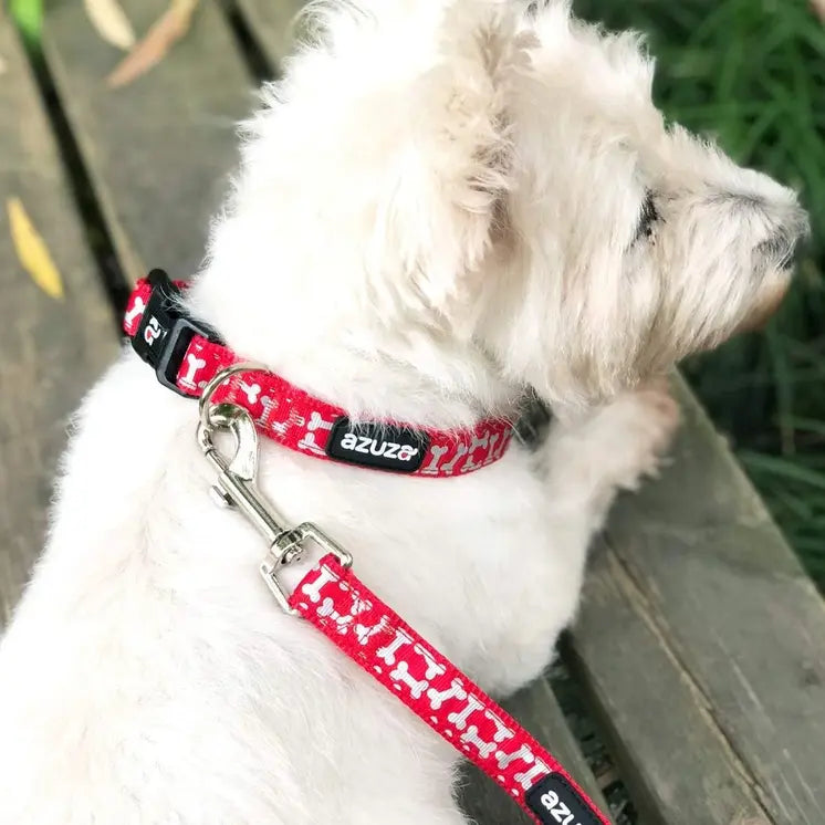 Red Dog Collar & Leash Set