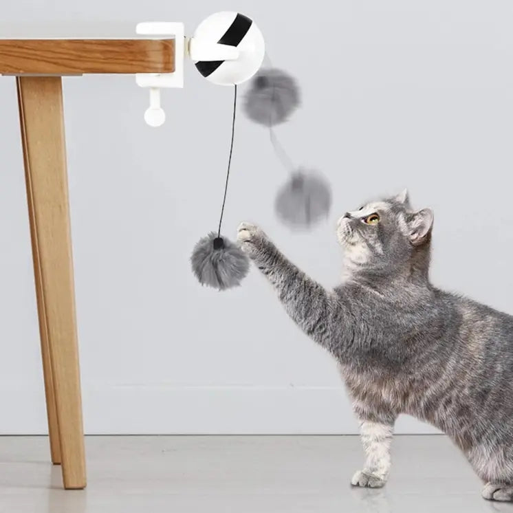 Interactive Eletric Cat Toy