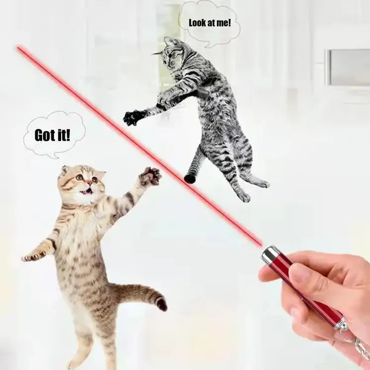 Interactive Laser Pointer Toy For Cats