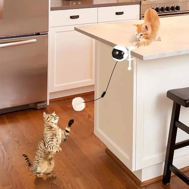 Interactive Eletric Cat Toy