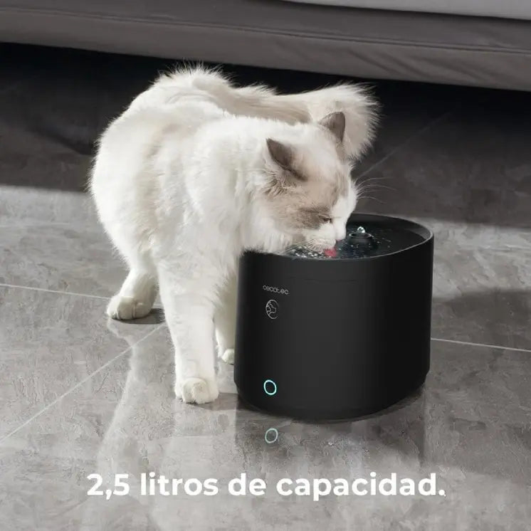 Pet Water Fountain – Cecotec 🐾💧