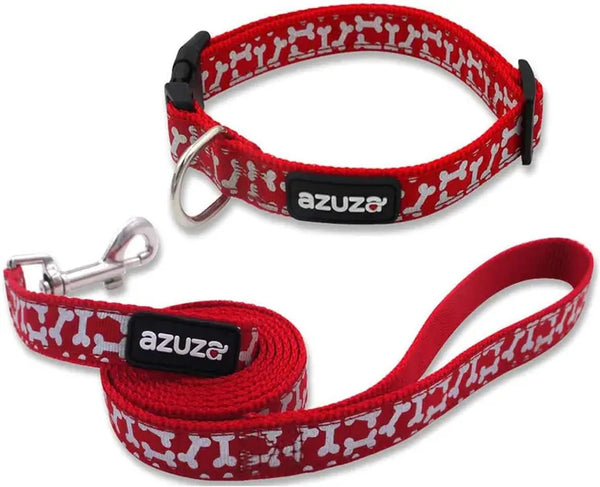 Red Dog Collar & Leash Set