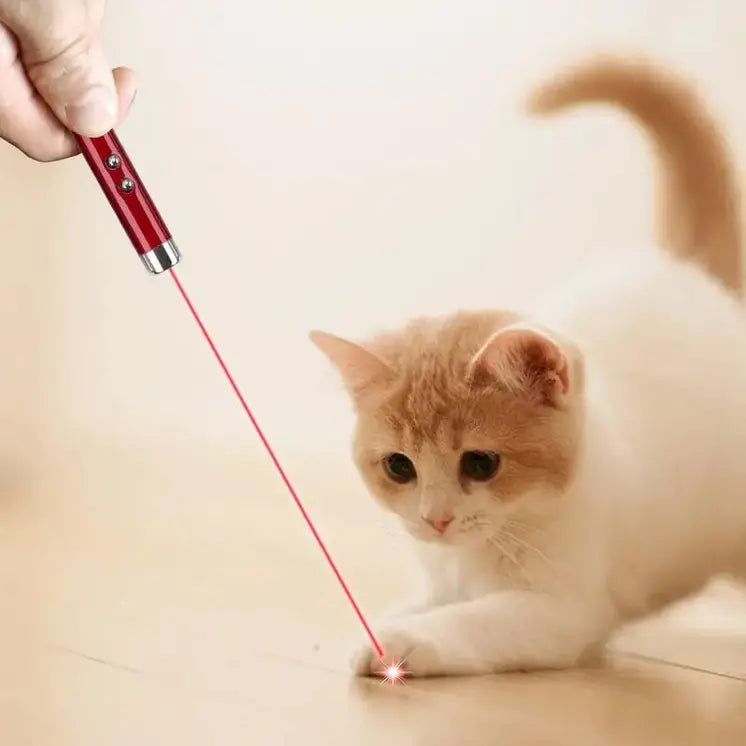 Interactive Laser Pointer Toy For Cats