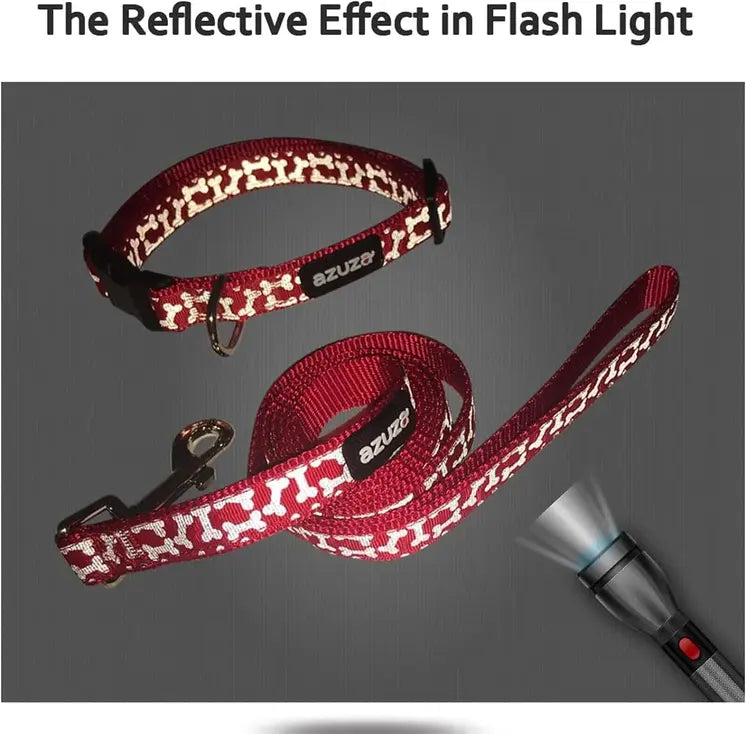 Red Dog Collar & Leash Set